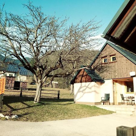 Apartma Hiska Korosec Bohinj Eksteriør bilde